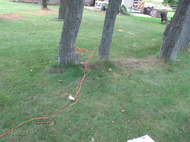 img_0445.jpg